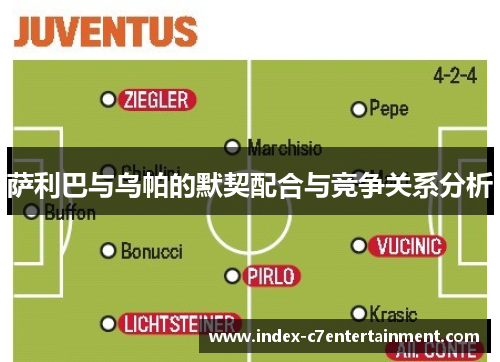 萨利巴与乌帕的默契配合与竞争关系分析 萨利巴与乌帕的默契配合与竞争关系分析