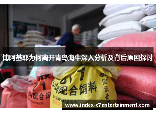 博阿基耶为何离开青岛海牛深入分析及背后原因探讨 博阿基耶为何离开青岛海牛深入分析及背后原因探讨