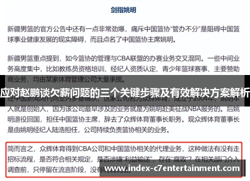 应对赵鹏谈欠薪问题的三个关键步骤及有效解决方案解析 应对赵鹏谈欠薪问题的三个关键步骤及有效解决方案解析