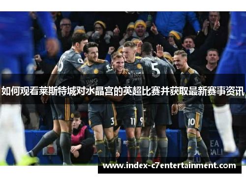 如何观看莱斯特城对水晶宫的英超比赛并获取最新赛事资讯