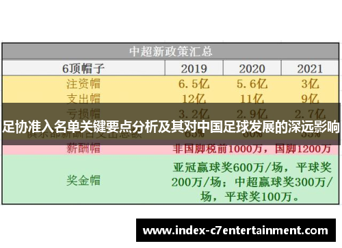 足协准入名单关键要点分析及其对中国足球发展的深远影响 足协准入名单关键要点分析及其对中国足球发展的深远影响