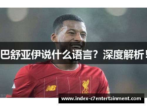 巴舒亚伊说什么语言?深度解析! 巴舒亚伊说什么语言?深度解析!