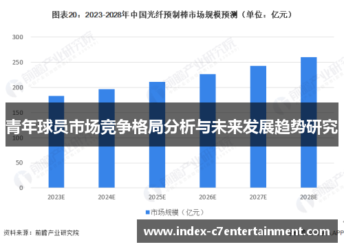 青年球员市场竞争格局分析与未来发展趋势研究 青年球员市场竞争格局分析与未来发展趋势研究