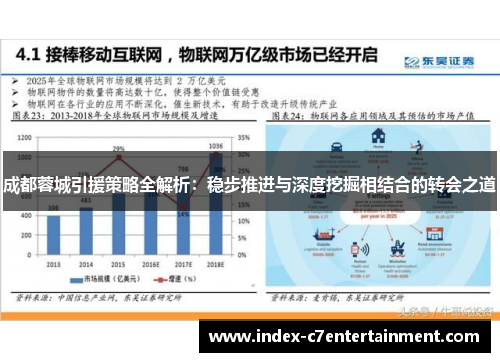 成都蓉城引援策略全解析：稳步推进与深度挖掘相结合的转会之道