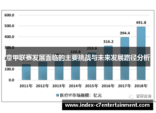 意甲联赛发展面临的主要挑战与未来发展路径分析