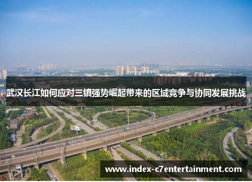 武汉长江如何应对三镇强势崛起带来的区域竞争与协同发展挑战 武汉长江如何应对三镇强势崛起带来的区域竞争与协同发展挑战