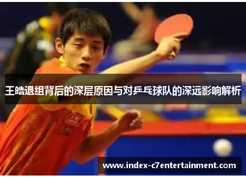 王皓退组背后的深层原因与对乒乓球队的深远影响解析
