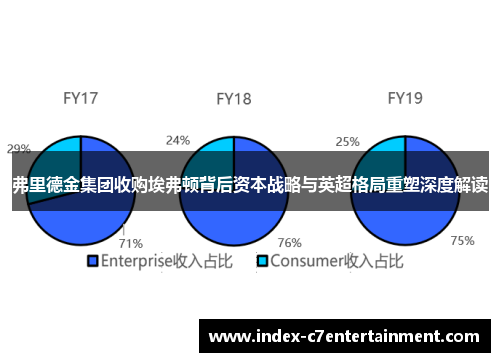 弗里德金集团收购埃弗顿背后资本战略与英超格局重塑深度解读
